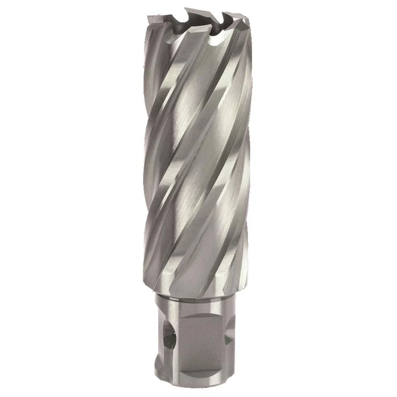 Bordo Annular Cutter 17mm X 50mm Deep