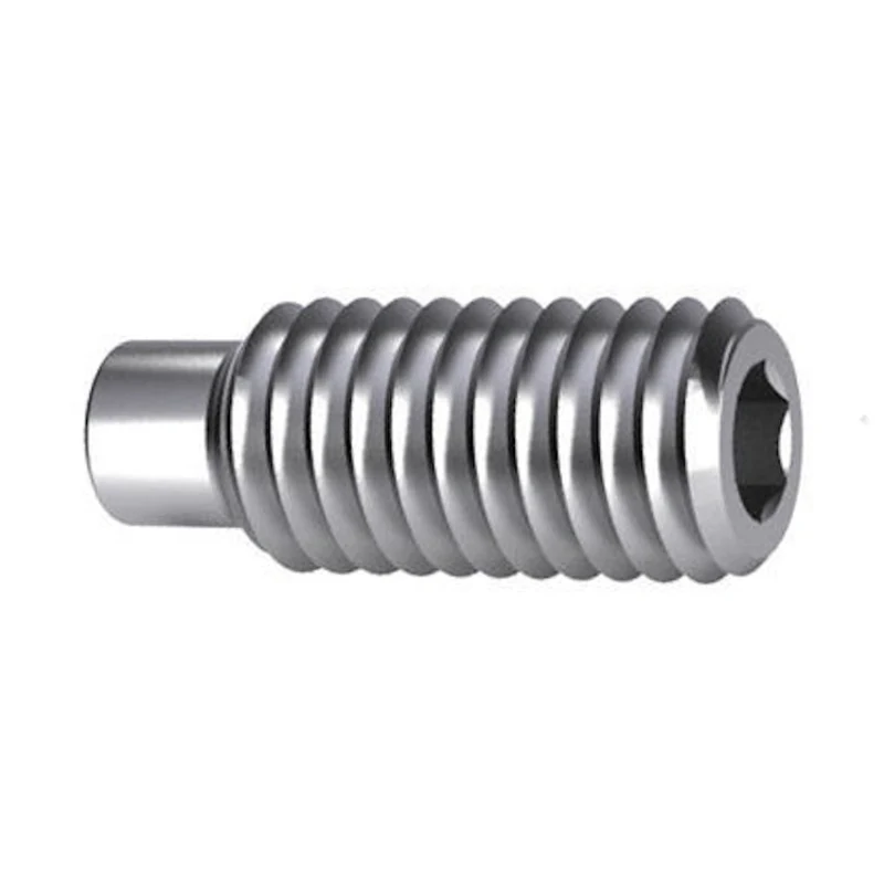 Hexagon Socket Set Screw M20 - Dog Point - DIN 915