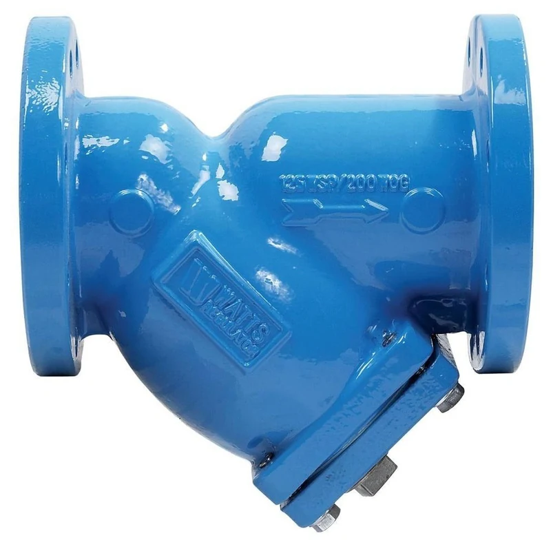 Watts 2-1/2 x 2-1/2 x 2-1/2 in. 125# Cast Iron Epoxy Coating Flanged Strainer | Ferguson