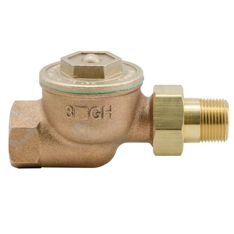 Watts Series GHSW 3/4 in. 267F Steam Trap | Ferguson