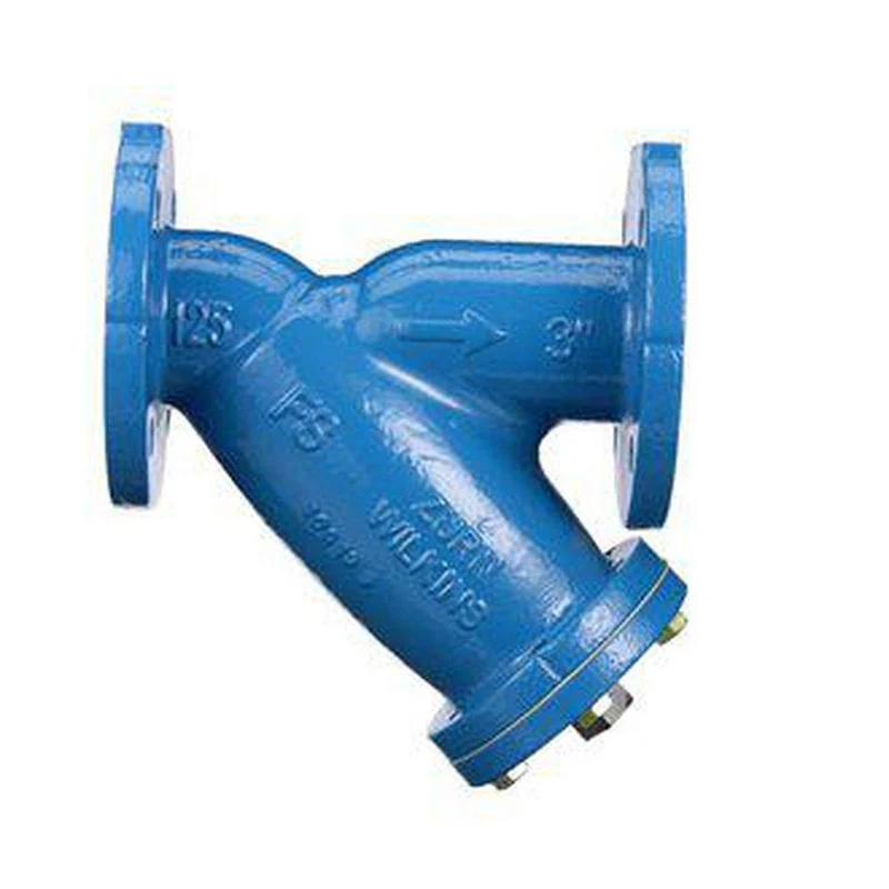 Zurn Wilkins Model FSC 2-1/2 in. Flange Ductile Iron Epoxy Coated Y-Strainer | Ferguson